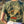Smoky Mtn. Climb That Mountain Tee