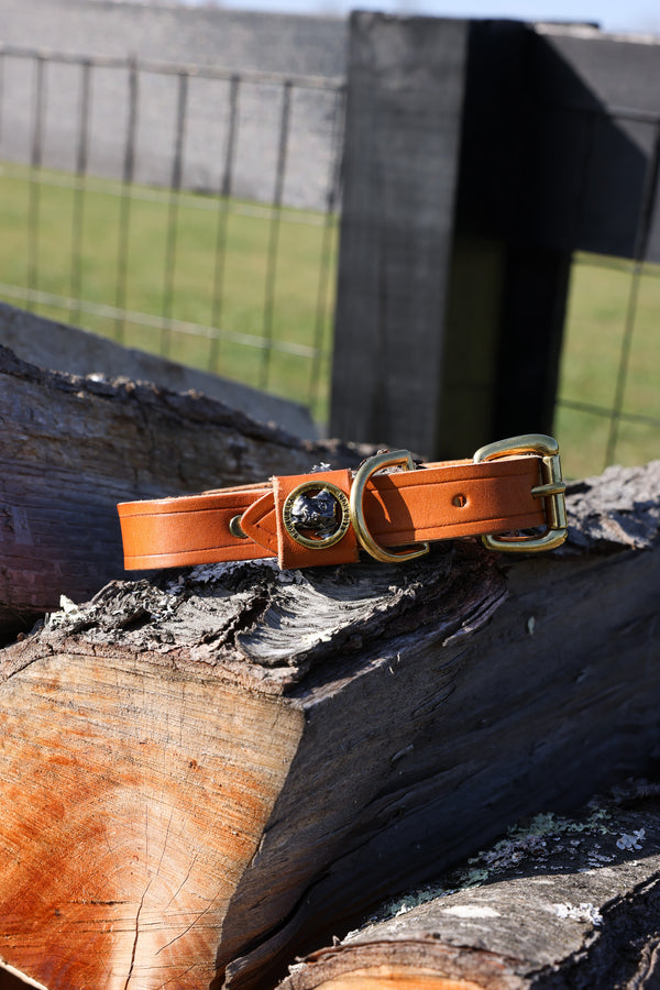 Smoky Mtn Premium Dog Collar