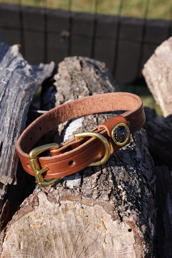 Smoky Mtn Premium Dog Collar