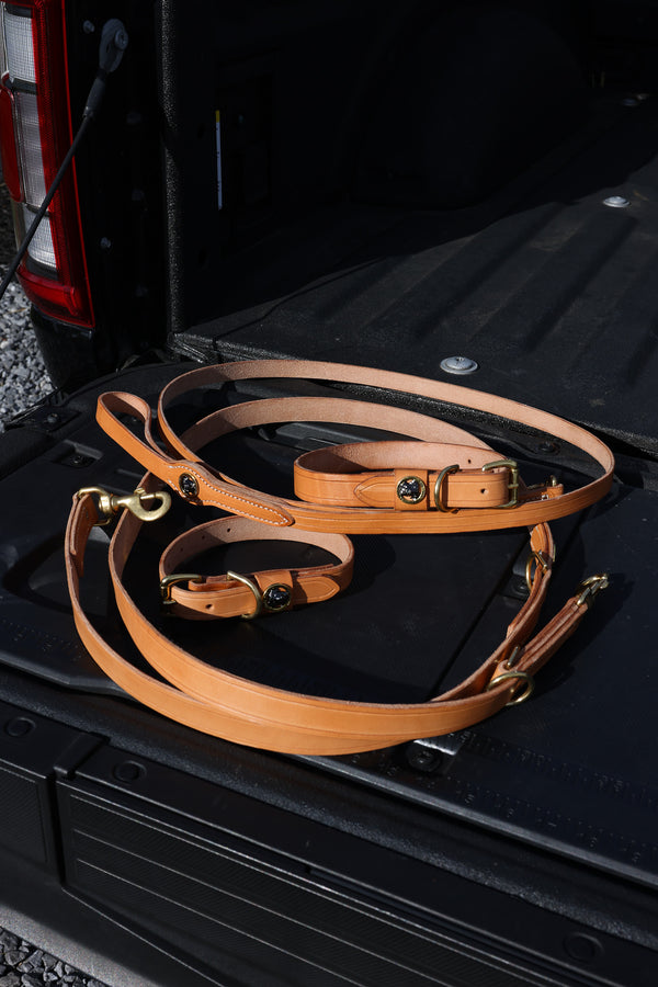 Leash & Collar Bundle