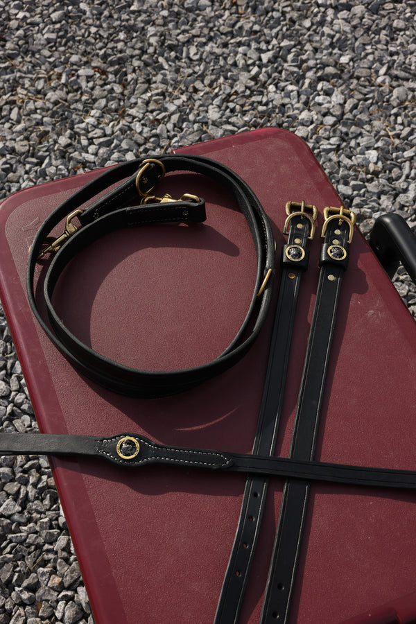 Leash & Collar Bundle