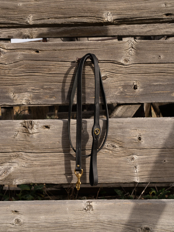 Smoky Mtn Premium Walking Leash