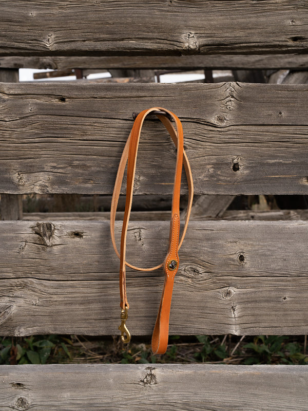 Smoky Mtn Premium Walking Leash