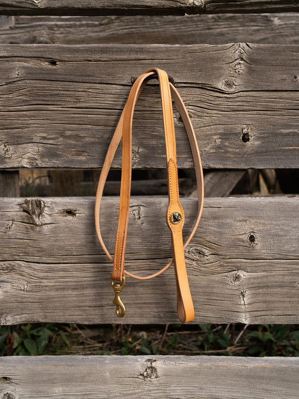 Smoky Mtn Premium Walking Leash